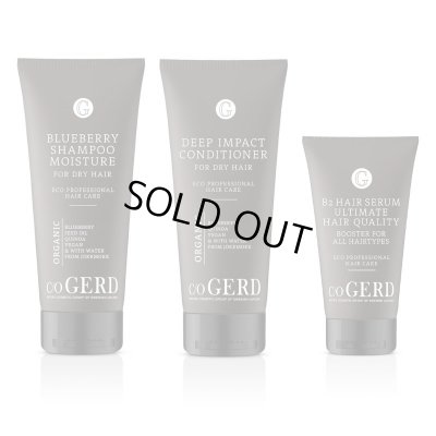 画像1: 【2月頃再入荷予定】ドライ＆ダメージヘア セット