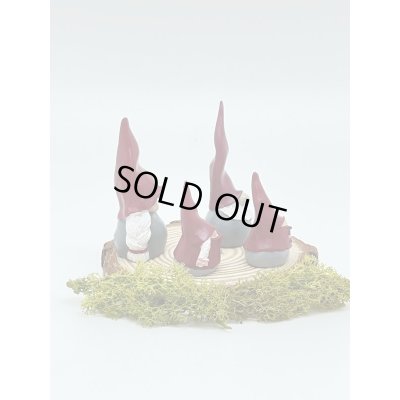 画像2: デコトムテ ４人家族 5.5-10cm