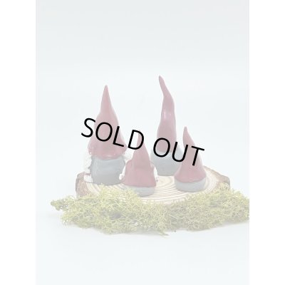 画像3: デコトムテ ４人家族 5.5-10cm