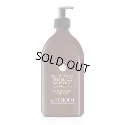 画像1: 【訳あり：40%OFF】ドライ＆ダメージヘア - VM ブルーベリーシャンプー 500mL 
