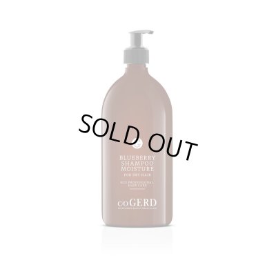 画像1: 【欠品：3月入荷予定】ドライ＆ダメージヘア -  VM ブルーベリーシャンプー 1000mL 