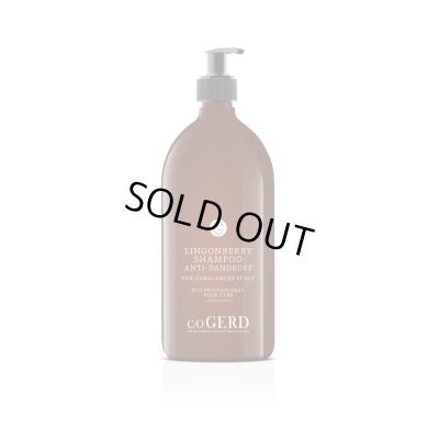 画像1: 【再入荷待ち：入荷時期未定】スカルプ -  VV リンゴンベリーベリーシャンプー 1000mL