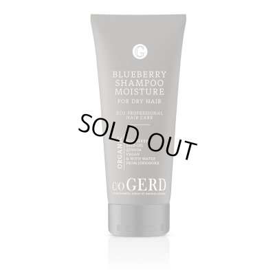 画像1: 【長期欠品：2月頃再入荷予定】ドライ＆ダメージヘア - VM ブルーベリーシャンプー 200mL 