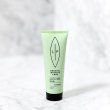 画像1: 【パッケージ変更予定】Vライン ココナッツスクラブ 50mL (1)