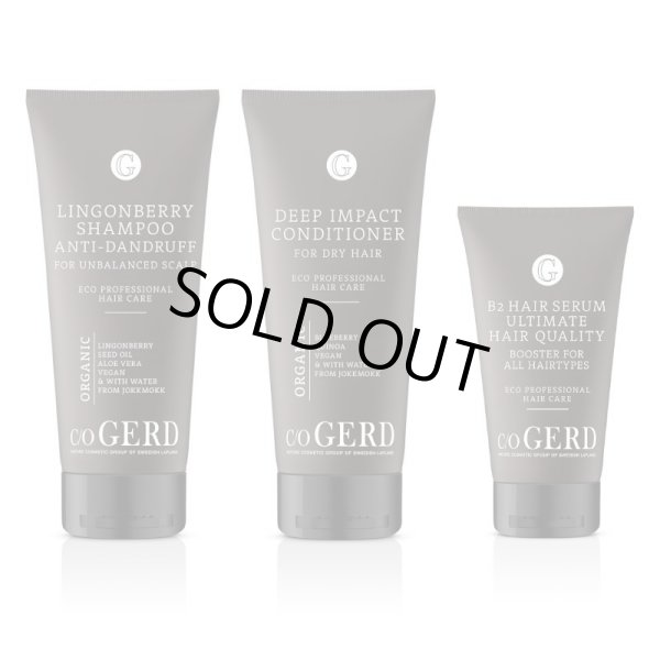 画像1: 【2月頃再入荷予定】スカルプケア ヘアセット (コンディショナーは2種類から選択してください) (1)