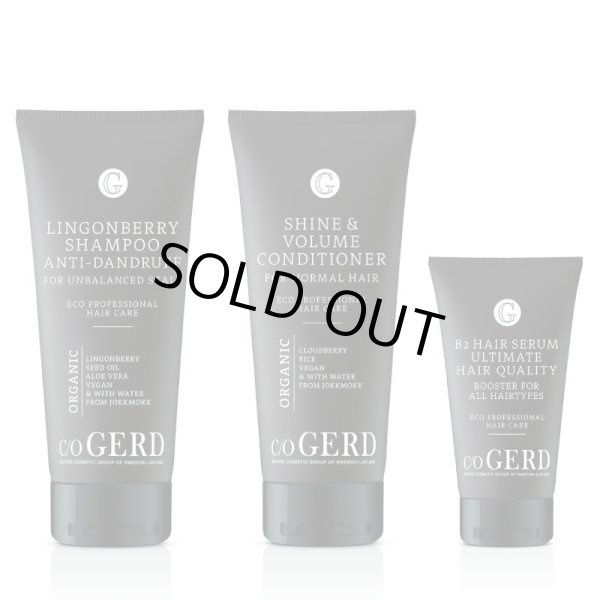 画像2: 【2月頃再入荷予定】スカルプケア ヘアセット (コンディショナーは2種類から選択してください) (2)