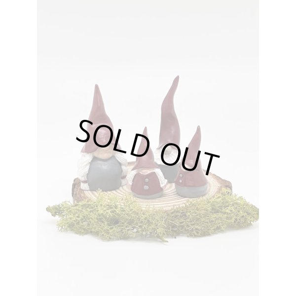 画像1: デコトムテ ４人家族 5.5-10cm (1)