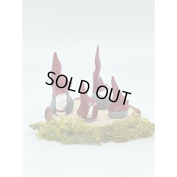 画像2: デコトムテ ４人家族 5.5-10cm (2)