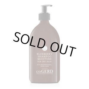 画像: 【訳あり：40%OFF】ドライ＆ダメージヘア - VM ブルーベリーシャンプー 500mL 